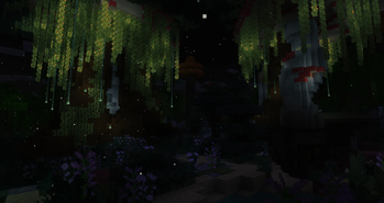 Enchanted Forest