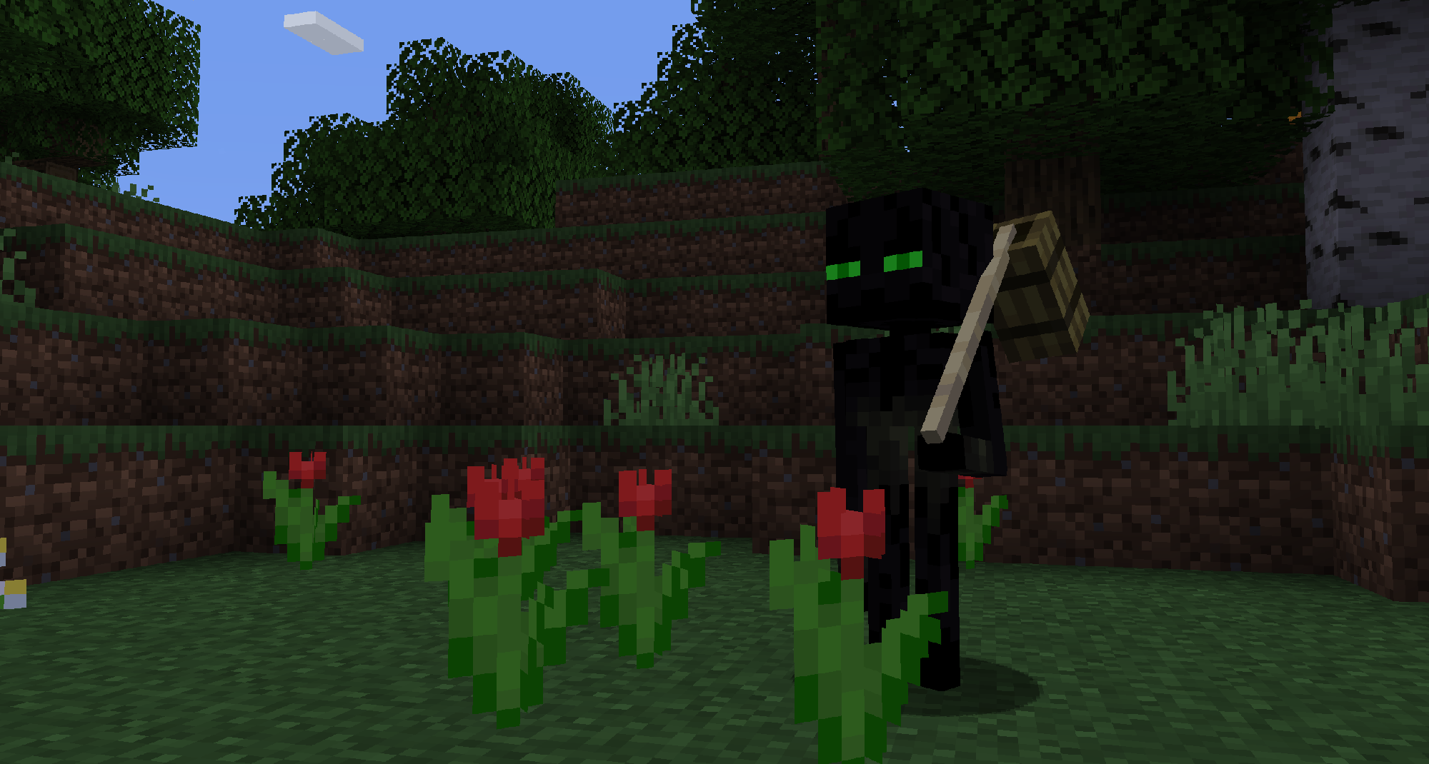 Wandering Enderman