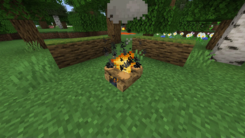 Baking Pancakes on a Campfire