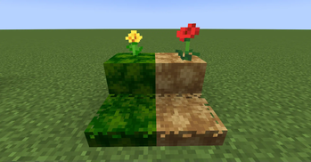 Sphagnum Blocks