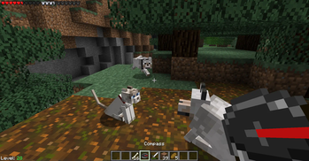 MCRP Pets