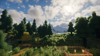 Forest