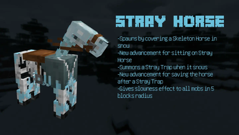 Stray Horse