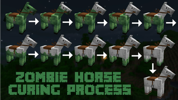 Zombie Horse Curing