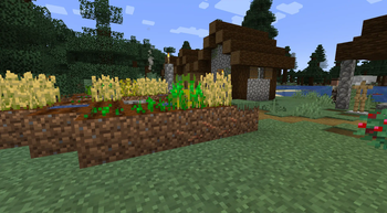 Topsoil