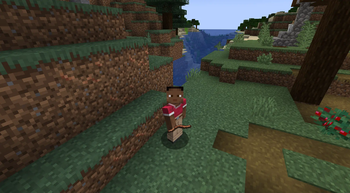 Earthworm Item