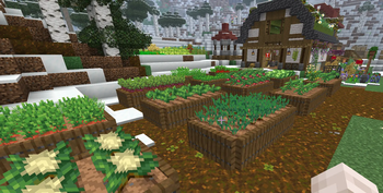 Garden Boxes
