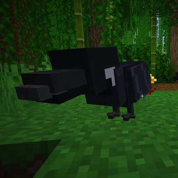 Crow Buddy