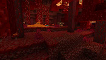 A Crimson Forest