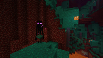 A Warped Forest