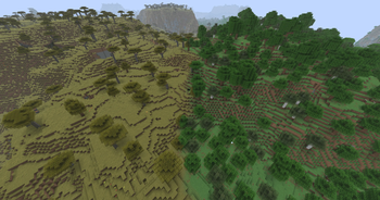 Savanna Forest BEFORE