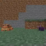 Frog Eat Endermite