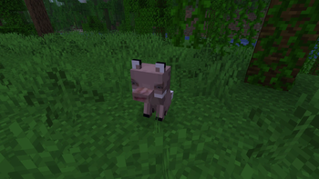 Roman adapted to the forest environment