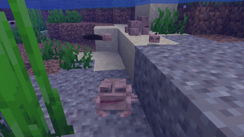 Roman adapted to sea environment