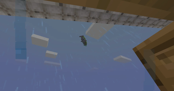 Whale