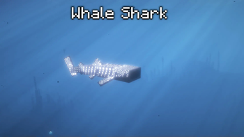 Whale Shark