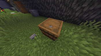 chest