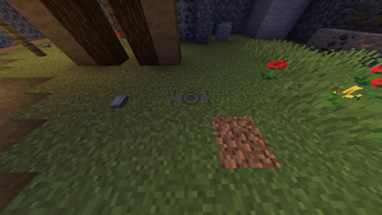 placed beartrap