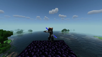 sword's guard