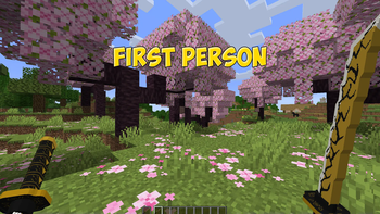 first person