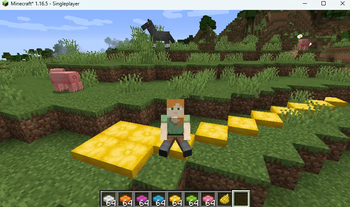 Cushions in 1.16.5!