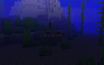 Shark