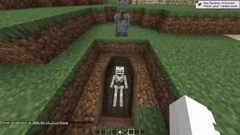 coffin skeleton 