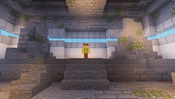 Pewter gym