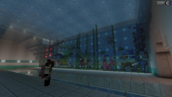 Pokemon Aquarium!