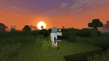 sunset in singlerplayer