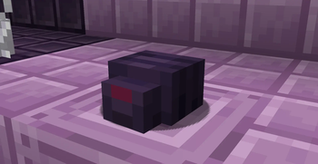 Endermite