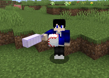 Cricket In Minecraft