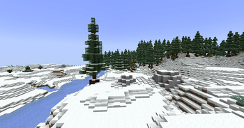 Snowy Plains