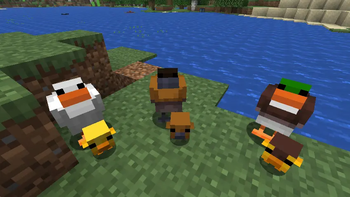 Duck Mod