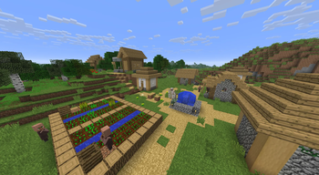 Village