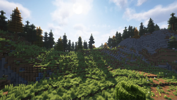 An beautiful Forest.