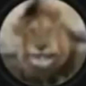 cheshet