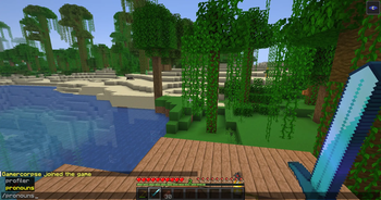 The player command