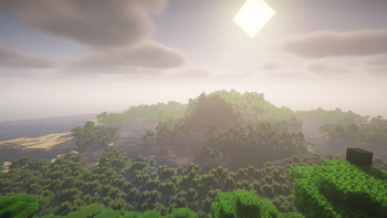 There are 7 shaders!