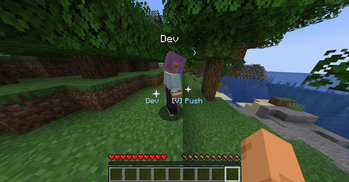 Push Promt