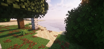 With shader