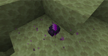 Endermite