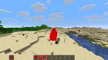 elytra