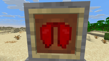 elytra item