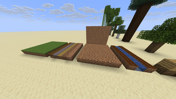 dirt and grasses