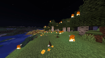 Forest after someone did command :(