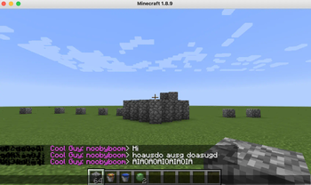Added Player tags