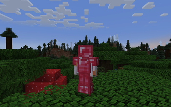 Heart Armor (Back)
