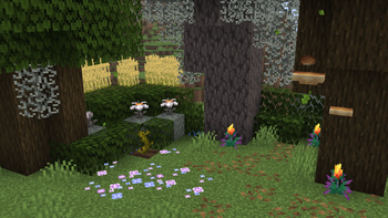 Showcase of Everything