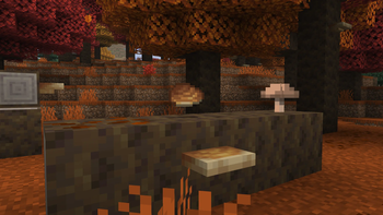 Shelf Mushroom Item Texture